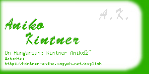 aniko kintner business card